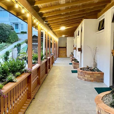 The Swiss Chalet Holiday Apartment 5, Bay Of Islands Paihia Exteriör bild